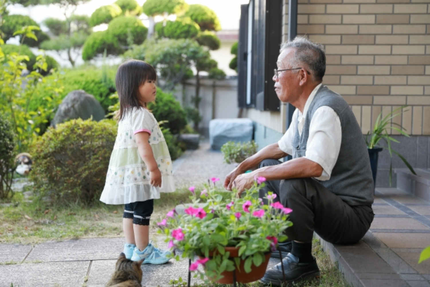 理想の介護を実現できます